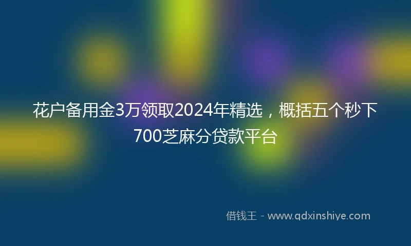 花户备用金3万领取2024年精选，概括五个秒下700芝麻分贷款平台
