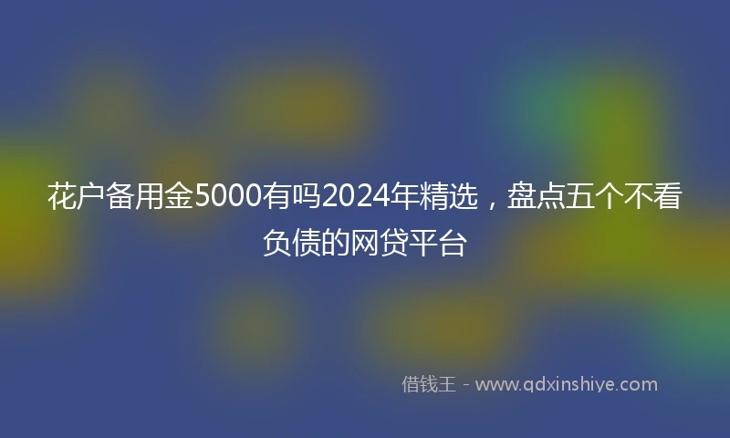 花户备用金5000有吗2024年精选，盘点五个不看负债的网贷平台