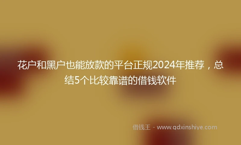 花户和黑户也能放款的平台正规2024年推荐，总结5个比较靠谱的借钱软件