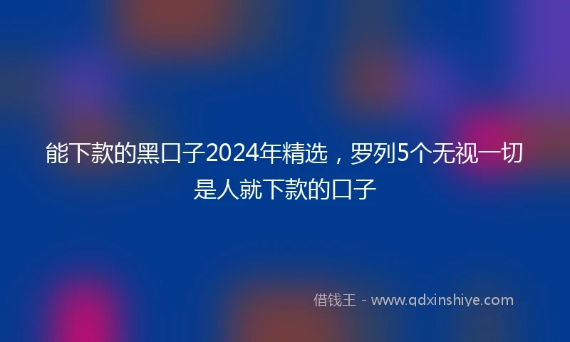 能下款的黑口子2024年精选，罗列5个无视一切是人就下款的口子