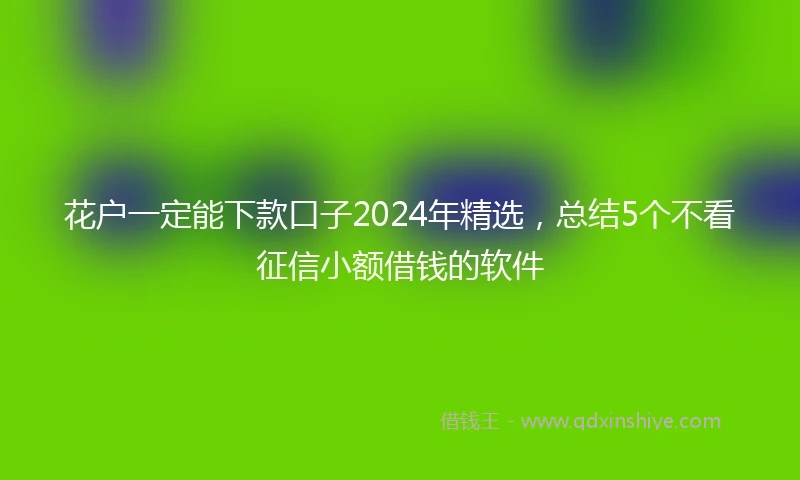 花户一定能下款口子2024年精选，总结5个不看征信小额借钱的软件