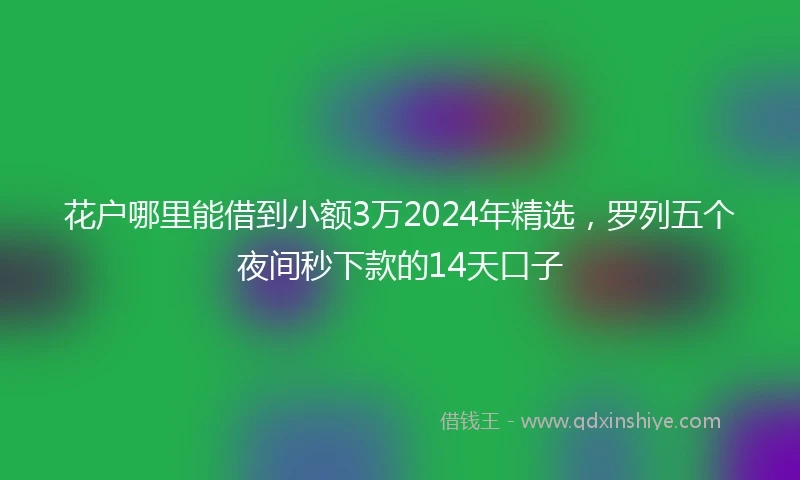 花户哪里能借到小额3万2024年精选，罗列五个夜间秒下款的14天口子