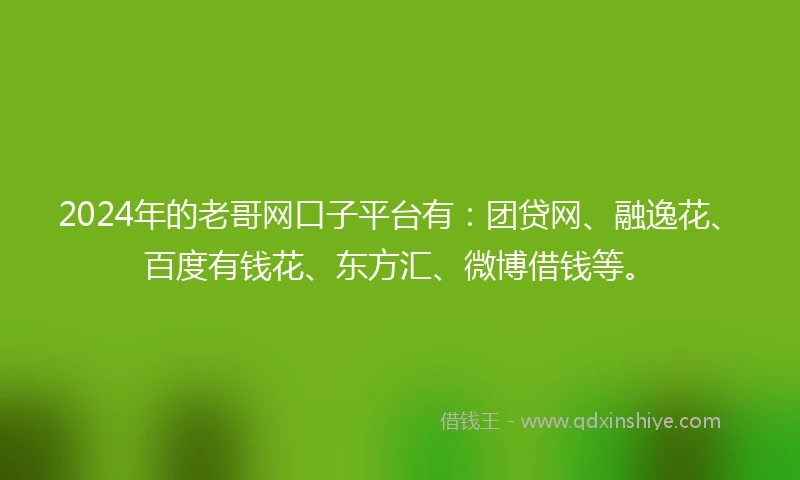 2024年的老哥网口子平台有：团贷网、融逸花、百度有钱花、东方汇、微博借钱等。