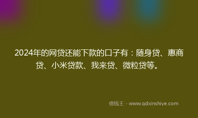 2024年的网贷还能下款的口子有：随身贷、惠商贷、小米贷款、我来贷、微粒贷等。