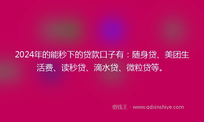 2024年的能秒下的贷款口子有：随身贷、美团生活费、读秒贷、滴水贷、微粒贷等。