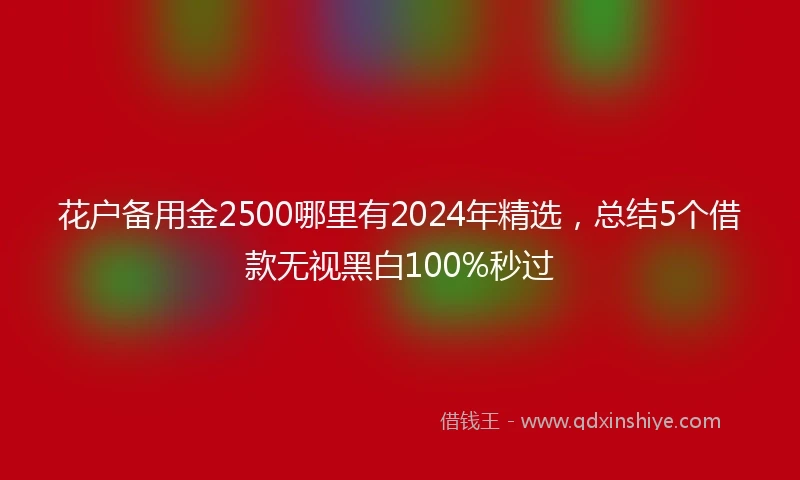 花户备用金2500哪里有2024年精选，总结5个借款无视黑白100%秒过