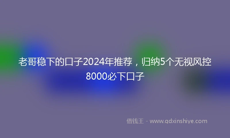 老哥稳下的口子2024年推荐，归纳5个无视风控8000必下口子