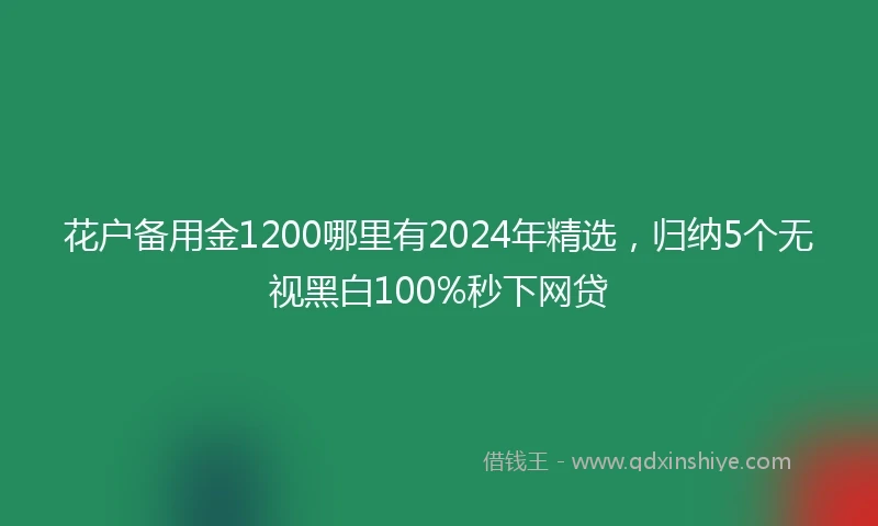 花户备用金1200哪里有2024年精选，归纳5个无视黑白100%秒下网贷