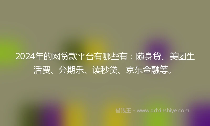 2024年的网贷款平台有哪些有：随身贷、美团生活费、分期乐、读秒贷、京东金融等。