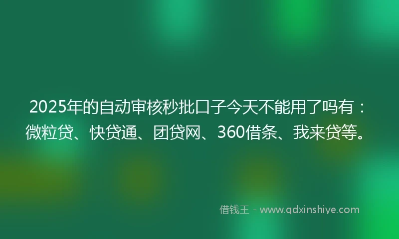 2025年的自动审核秒批口子今天不能用了吗有：微粒贷、快贷通、团贷网、360借条、我来贷等。