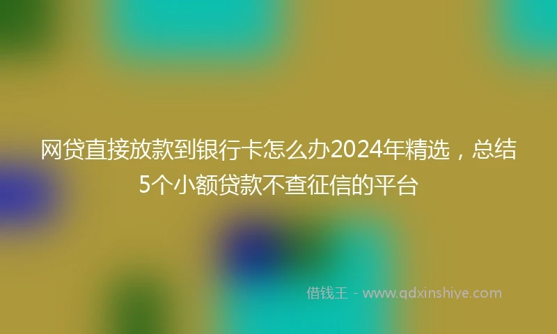 网贷直接放款到银行卡怎么办2024年精选，总结5个小额贷款不查征信的平台