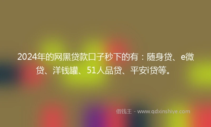 2024年的网黑贷款口子秒下的有：随身贷、e微贷、洋钱罐、51人品贷、平安i贷等。