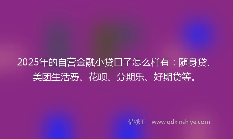 2025年的自营金融小贷口子怎么样有：随身贷、美团生活费、花呗、分期乐、好期贷等。