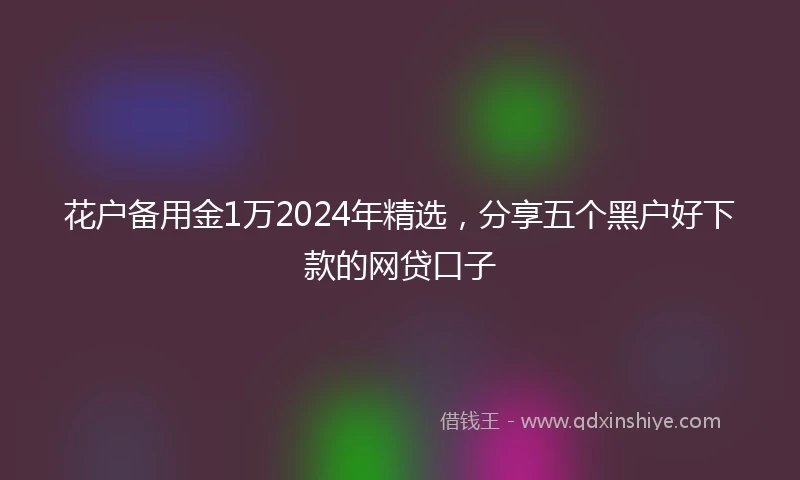 花户备用金1万2024年精选，分享五个黑户好下款的网贷口子