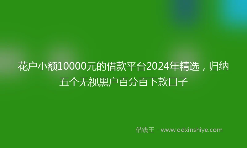 花户小额10000元的借款平台2024年精选，归纳五个无视黑户百分百下款口子
