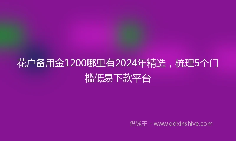 花户备用金1200哪里有2024年精选，梳理5个门槛低易下款平台