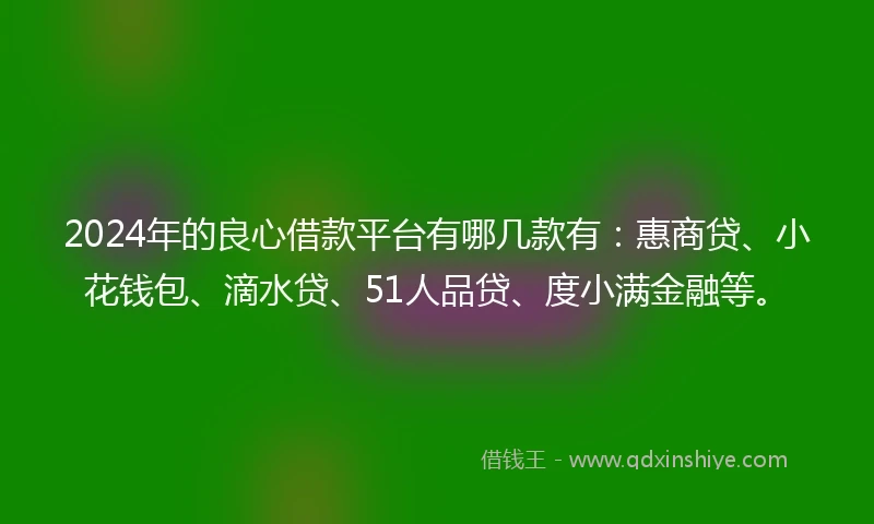 2024年的良心借款平台有哪几款有：惠商贷、小花钱包、滴水贷、51人品贷、度小满金融等。