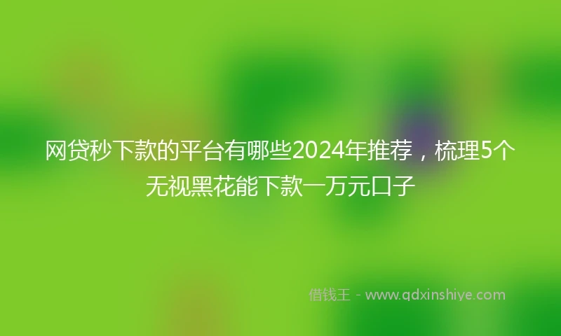网贷秒下款的平台有哪些2024年推荐，梳理5个无视黑花能下款一万元口子
