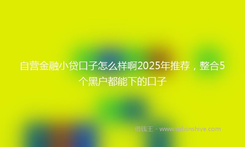 自营金融小贷口子怎么样啊2025年推荐，整合5个黑户都能下的口子