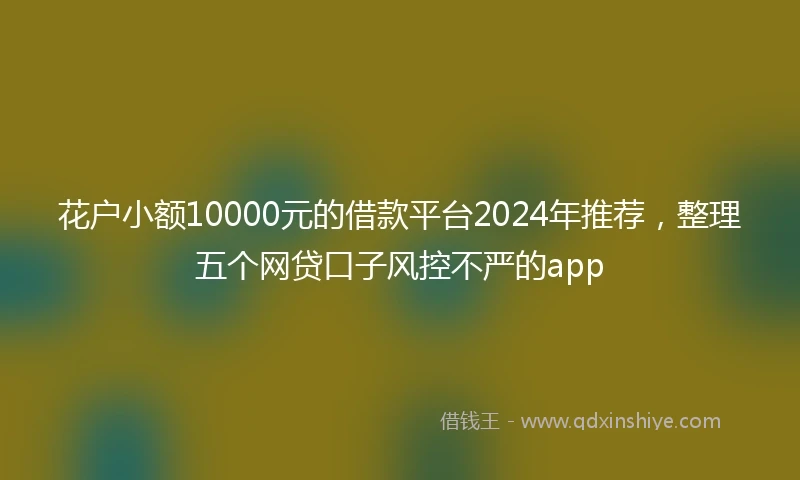 花户小额10000元的借款平台2024年推荐，整理五个网贷口子风控不严的app