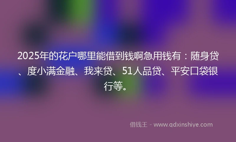 2025年的花户哪里能借到钱啊急用钱有:随身贷、度小满金融、我来贷、51人品贷、平安口袋银行等。