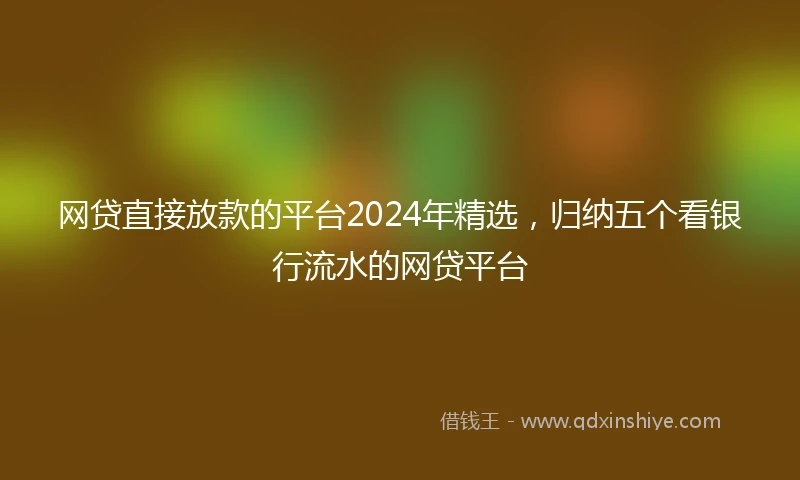 网贷直接放款的平台2024年精选，归纳五个看银行流水的网贷平台