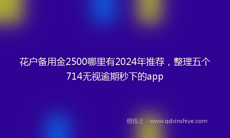 花户备用金2500哪里有2024年推荐，整理五个714无视逾期秒下的app