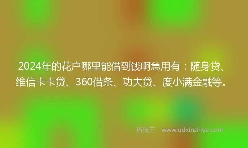 2024年的花户哪里能借到钱啊急用有：随身贷、维信卡卡贷、360借条、功夫贷、度小满金融等。