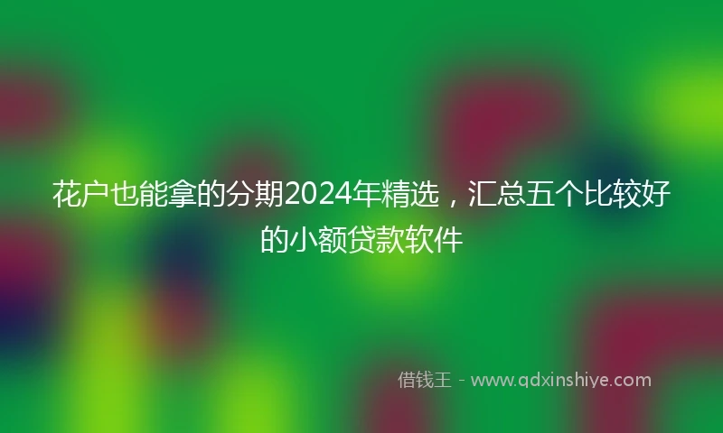 花户也能拿的分期2024年精选，汇总五个比较好的小额贷款软件