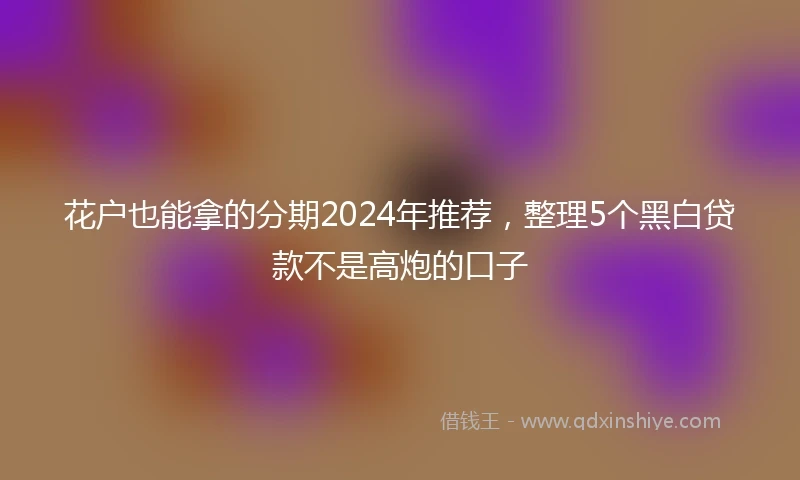 花户也能拿的分期2024年推荐，整理5个黑白贷款不是高炮的口子