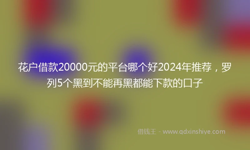花户借款20000元的平台哪个好2024年推荐，罗列5个黑到不能再黑都能下款的口子