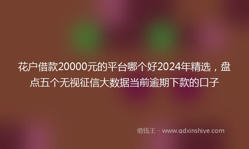 花户借款20000元的平台哪个好2024年精选，盘点五个无视征信大数据当前逾期下款的口子