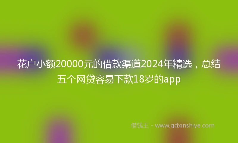 花户小额20000元的借款渠道2024年精选，总结五个网贷容易下款18岁的app