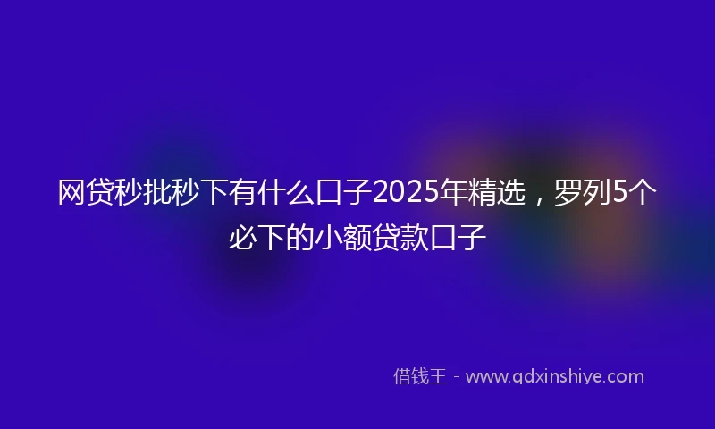 网贷秒批秒下有什么口子2025年精选，罗列5个必下的小额贷款口子