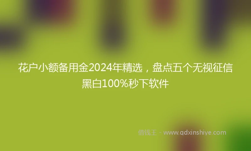 花户小额备用金2024年精选，盘点五个无视征信黑白100%秒下软件