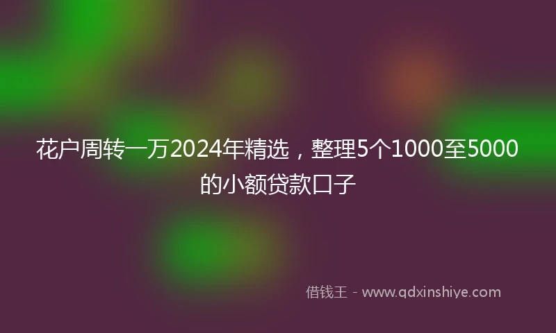 花户周转一万2024年精选，整理5个1000至5000的小额贷款口子