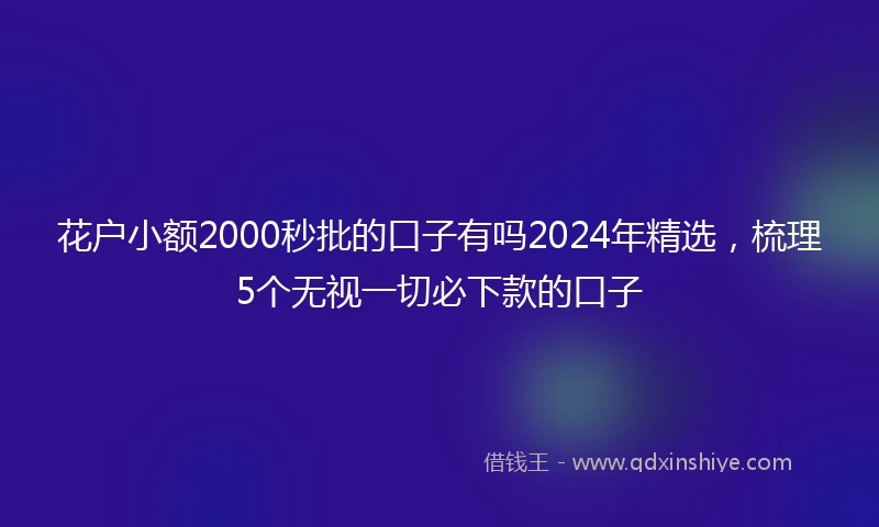 花户小额2000秒批的口子有吗2024年精选，梳理5个无视一切必下款的口子