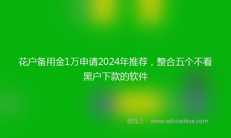花户备用金1万申请2024年推荐，整合五个不看黑户下款的软件