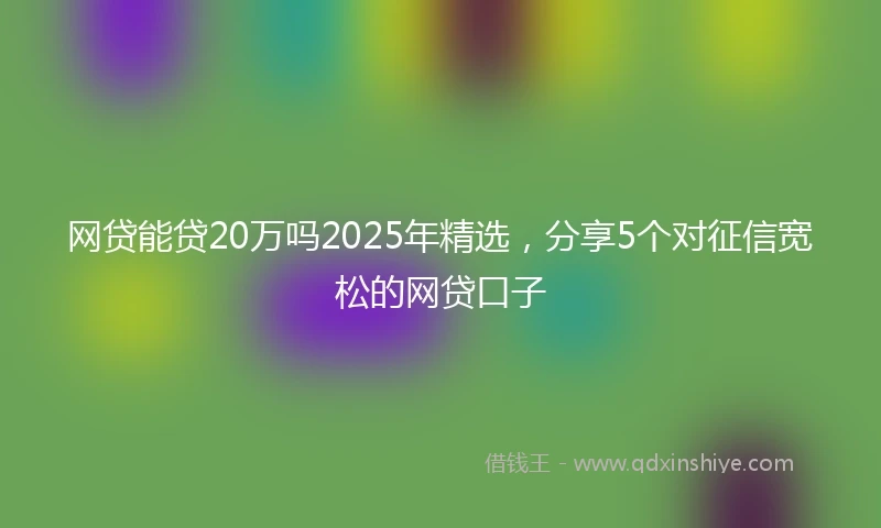 网贷能贷20万吗2025年精选，分享5个对征信宽松的网贷口子