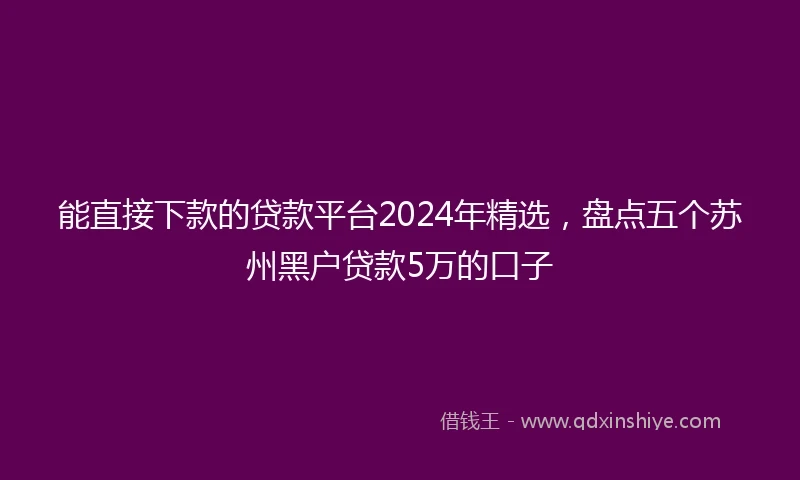 能直接下款的贷款平台2024年精选，盘点五个苏州黑户贷款5万的口子