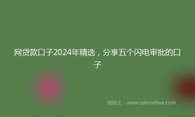 网贷款口子2024年精选，分享五个闪电审批的口子