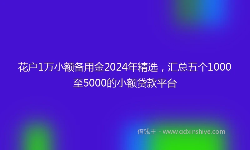 花户1万小额备用金2024年精选，汇总五个1000至5000的小额贷款平台