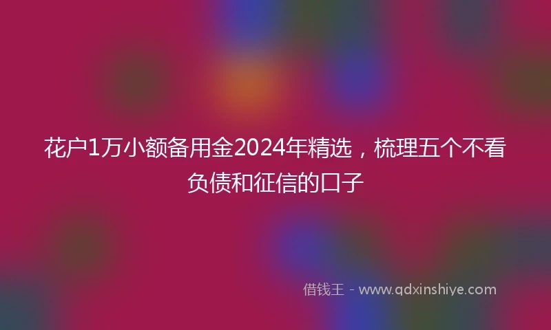 花户1万小额备用金2024年精选，梳理五个不看负债和征信的口子