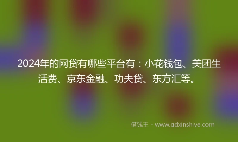 2024年的网贷有哪些平台有：小花钱包、美团生活费、京东金融、功夫贷、东方汇等。