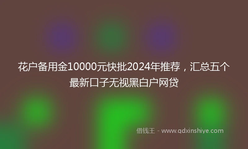 花户备用金10000元快批2024年推荐,汇总五个最新口子无视黑白户网贷