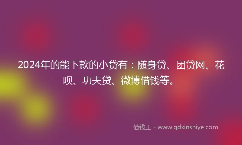 2024年的能下款的小贷有：随身贷、团贷网、花呗、功夫贷、微博借钱等。