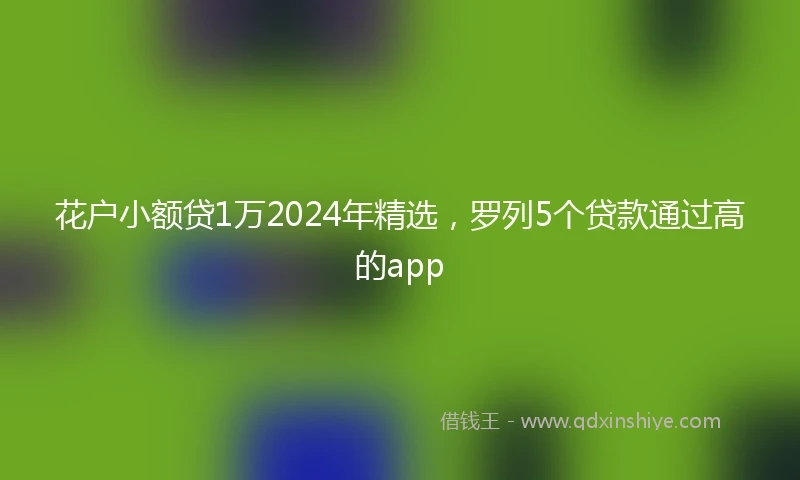 花户小额贷1万2024年精选，罗列5个贷款通过高的app