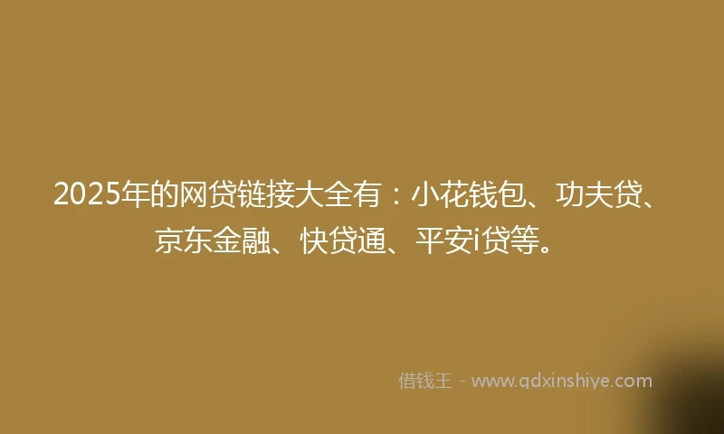 2025年的网贷链接大全有:小花钱包、功夫贷、京东金融、快贷通、平安i贷等。