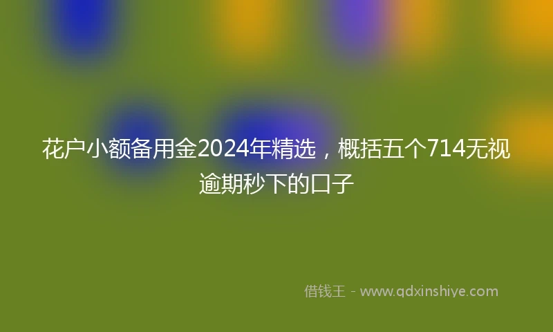 花户小额备用金2024年精选，概括五个714无视逾期秒下的口子
