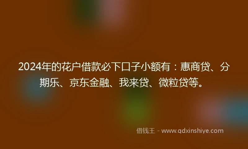 2024年的花户借款必下口子小额有：惠商贷、分期乐、京东金融、我来贷、微粒贷等。